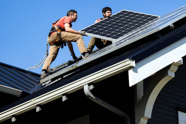 Best Roof Moss and Algae Removal  in Henryetta, OK